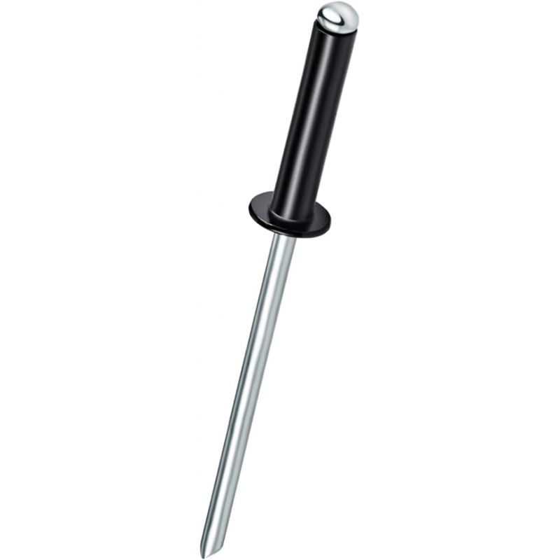 BOITE DE 100 RIVETS NOIRS